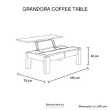 COFFEE TABLE HIGH GLOSS FINISH LIFT UP TOP MDF BLACK &