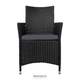 GARDEON 2PC OUTDOOR DINING CHAIRS PATIO FURNITURE WICKER
